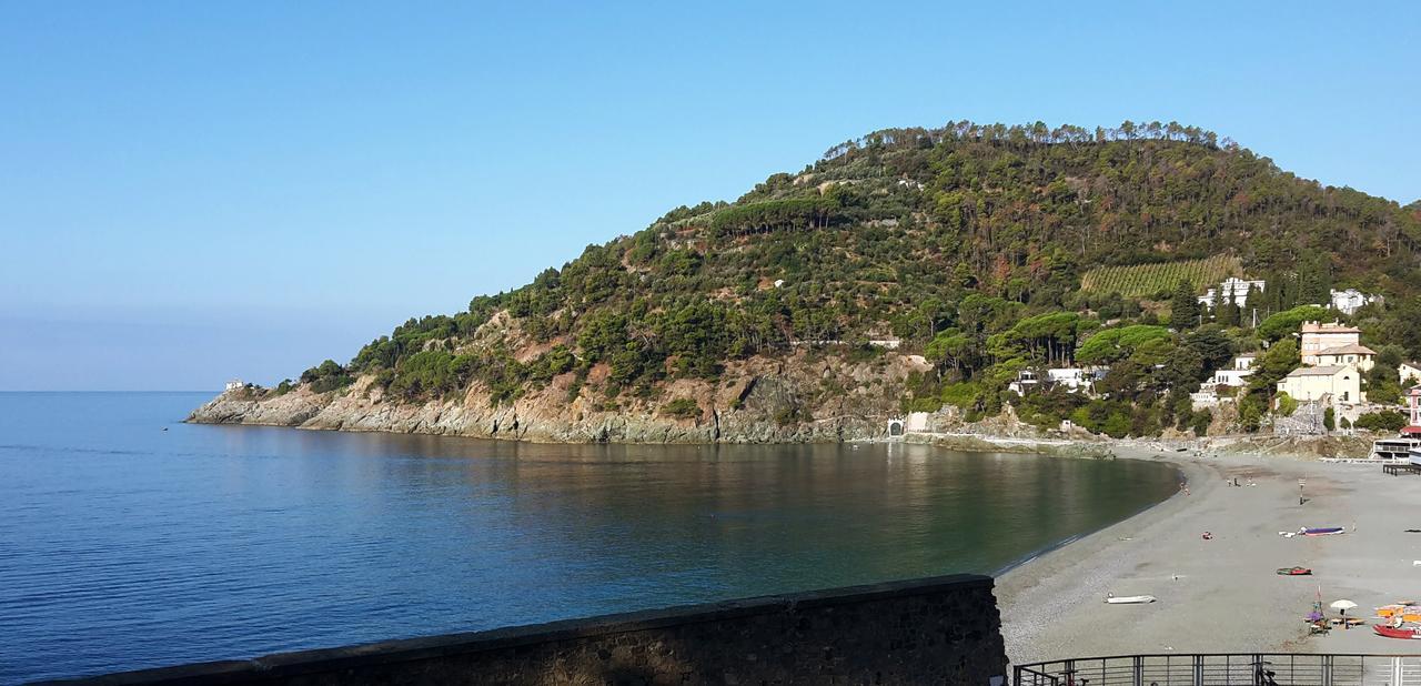 Sivori